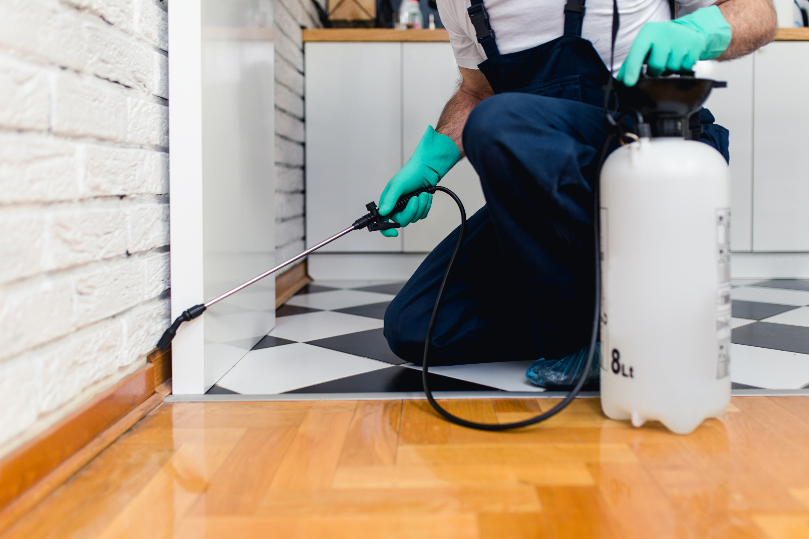 pestcontrolcontact image